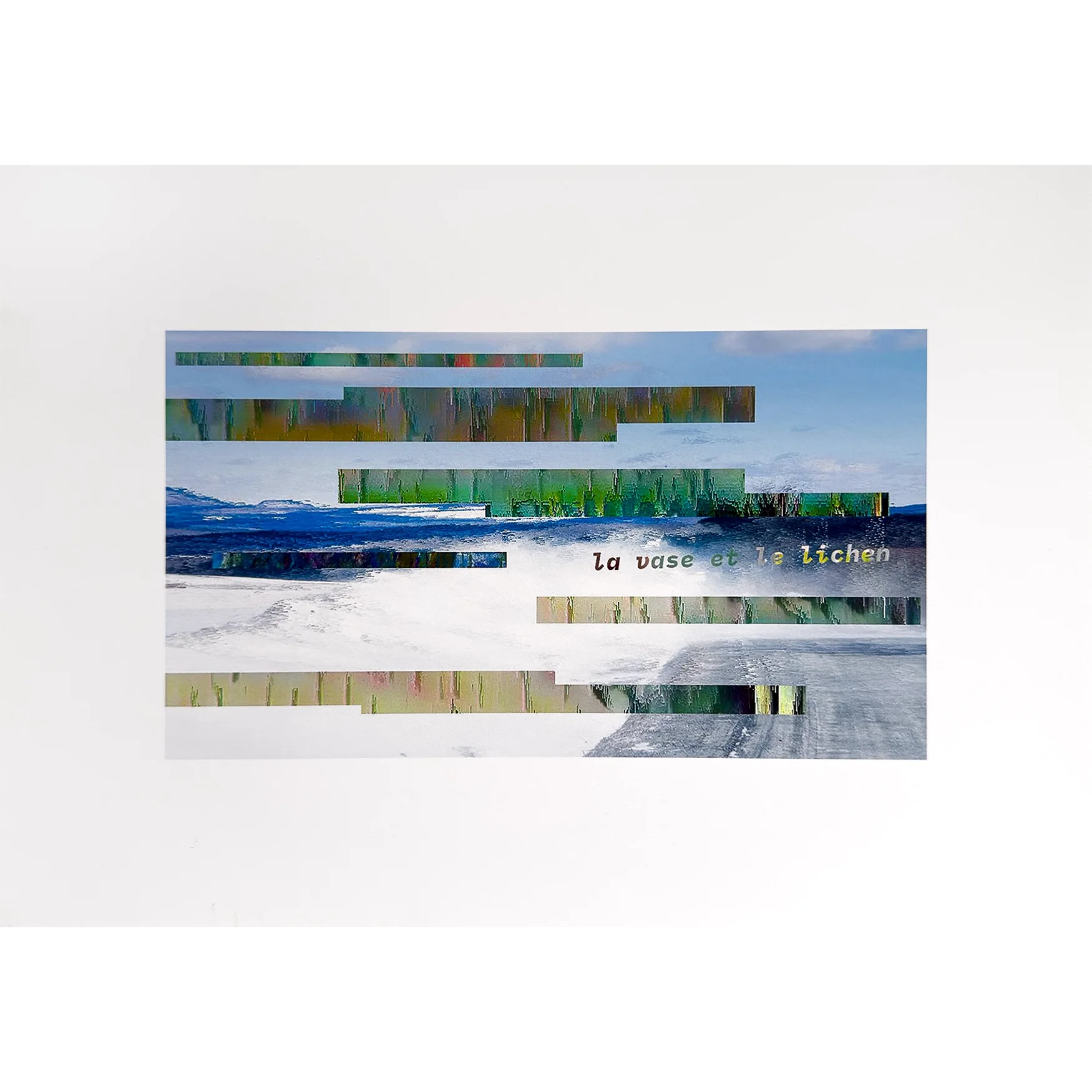 Isabelle-gagne-Hektor-9x13-Vase-et-lichen copy.webp