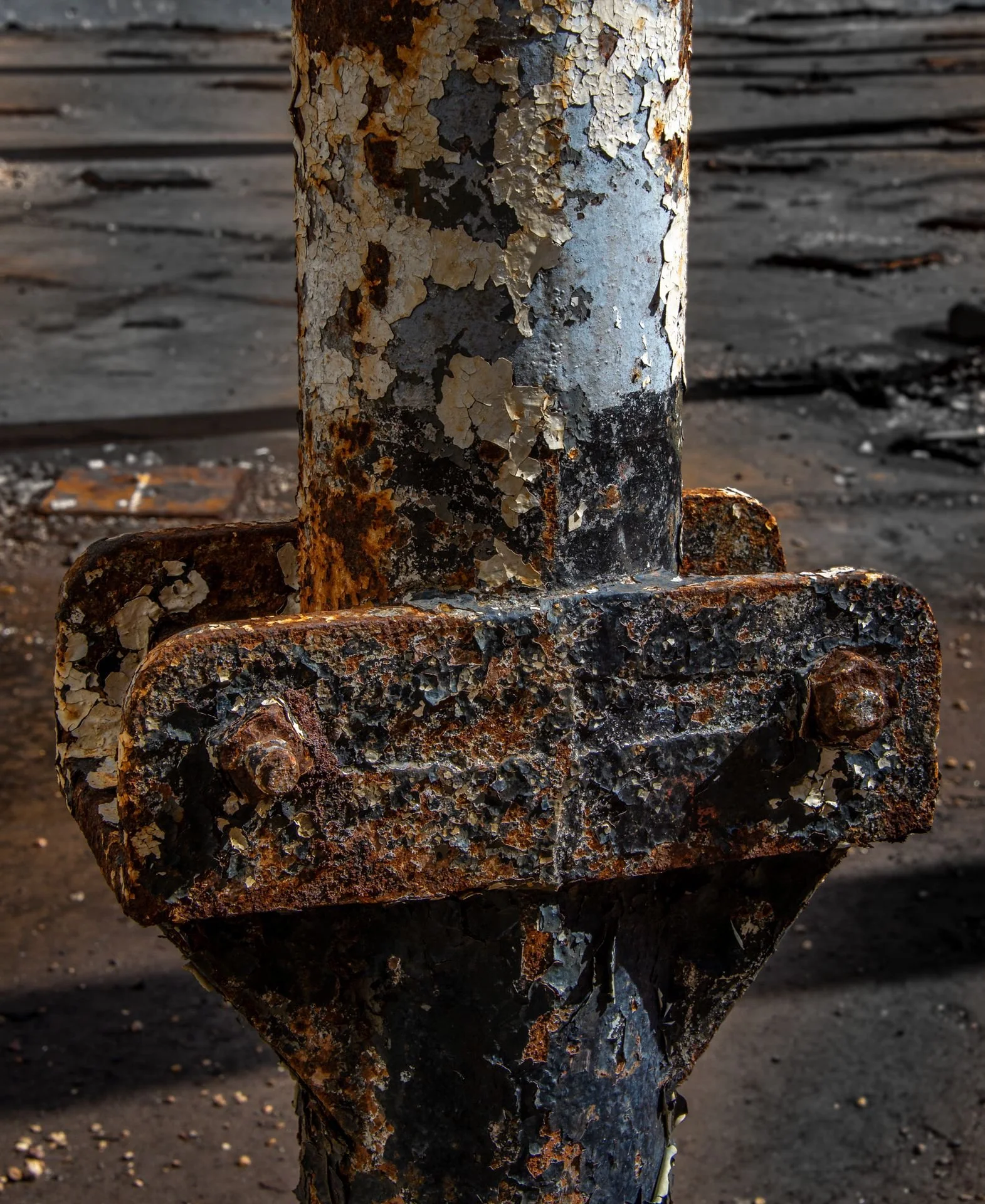 DSC_8039.jpg