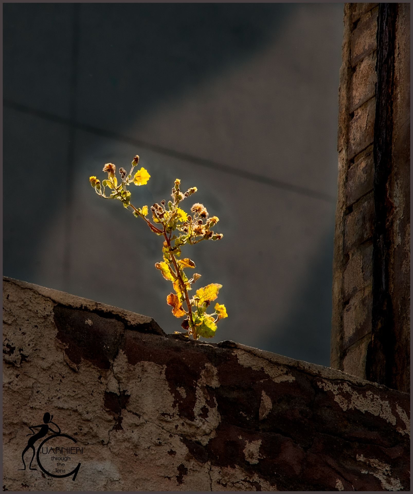 DSC_0160-Edit.jpg