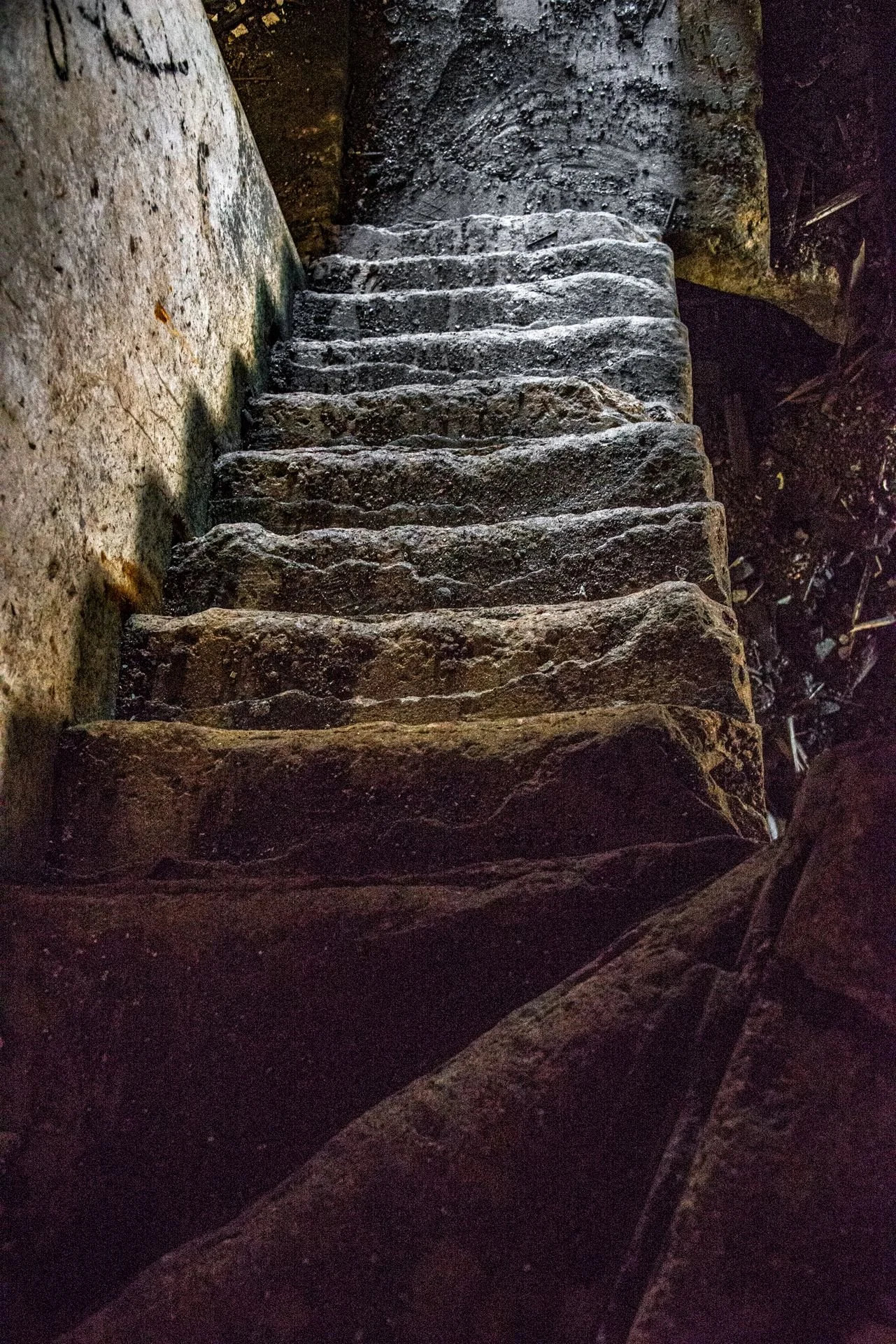 DSC_8048.jpg