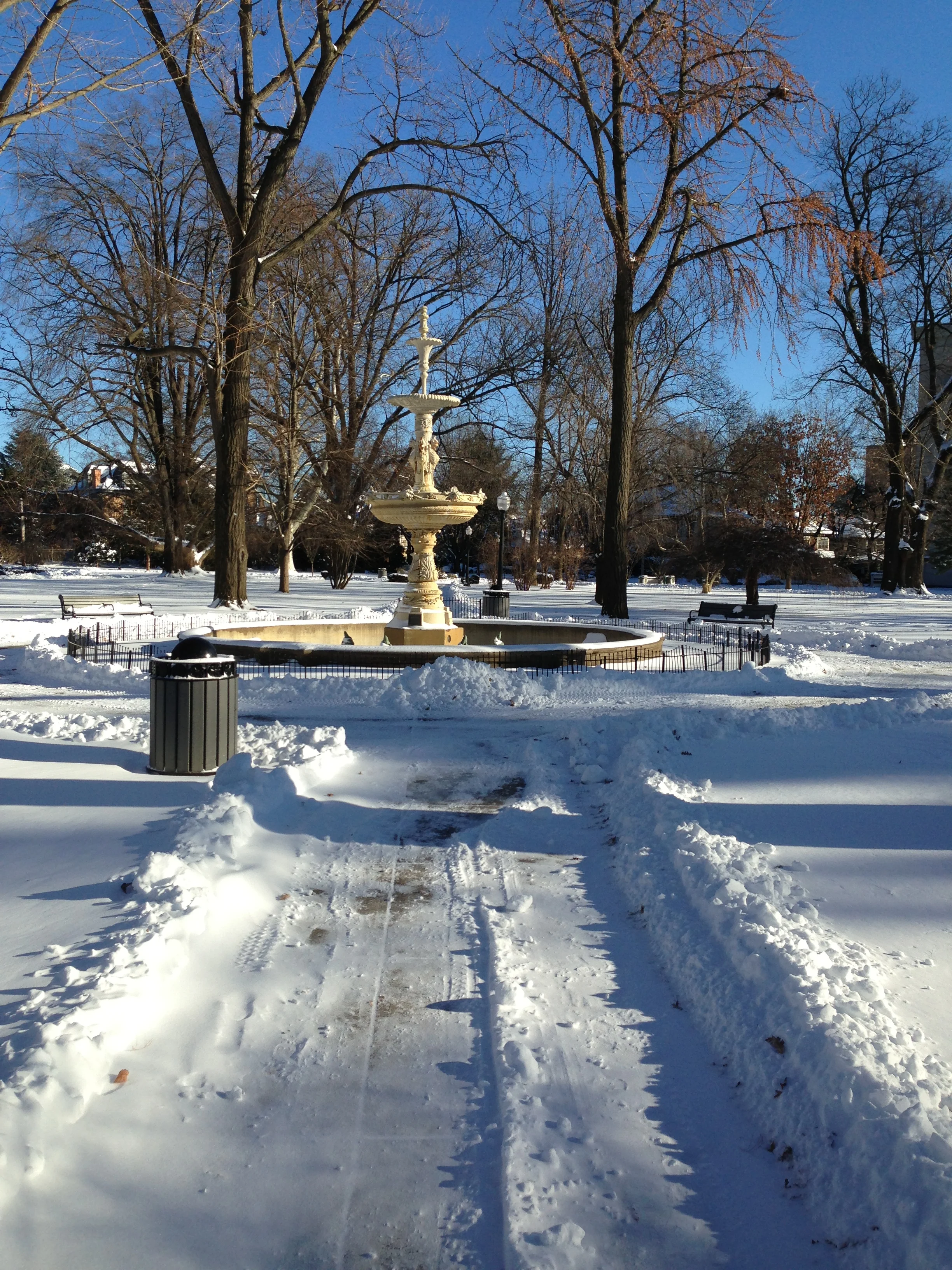 Fountian in the Snow.JPG