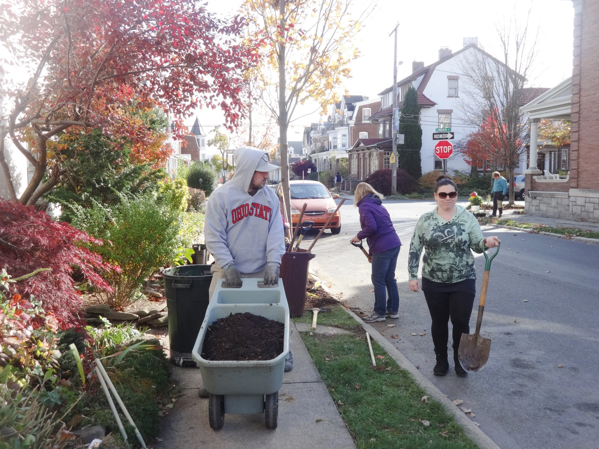Kory mulching on Linden.JPG