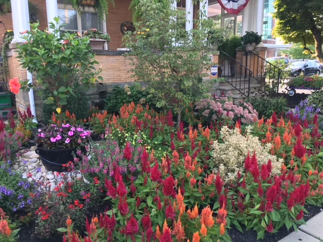 garden 1.JPG