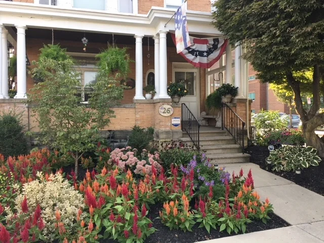 garden 2.JPG