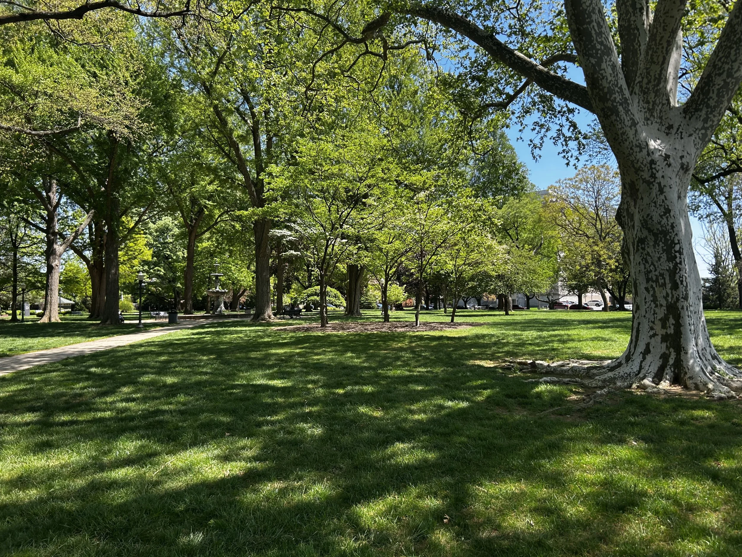 West Park Looking Southeast, 2025