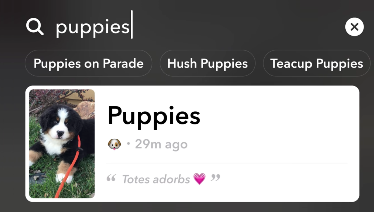 snapchat-stories-search.png