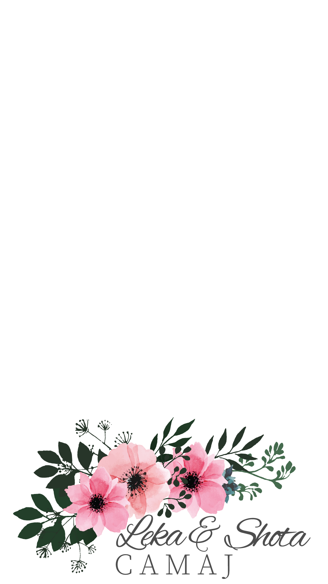 Camaj1.png