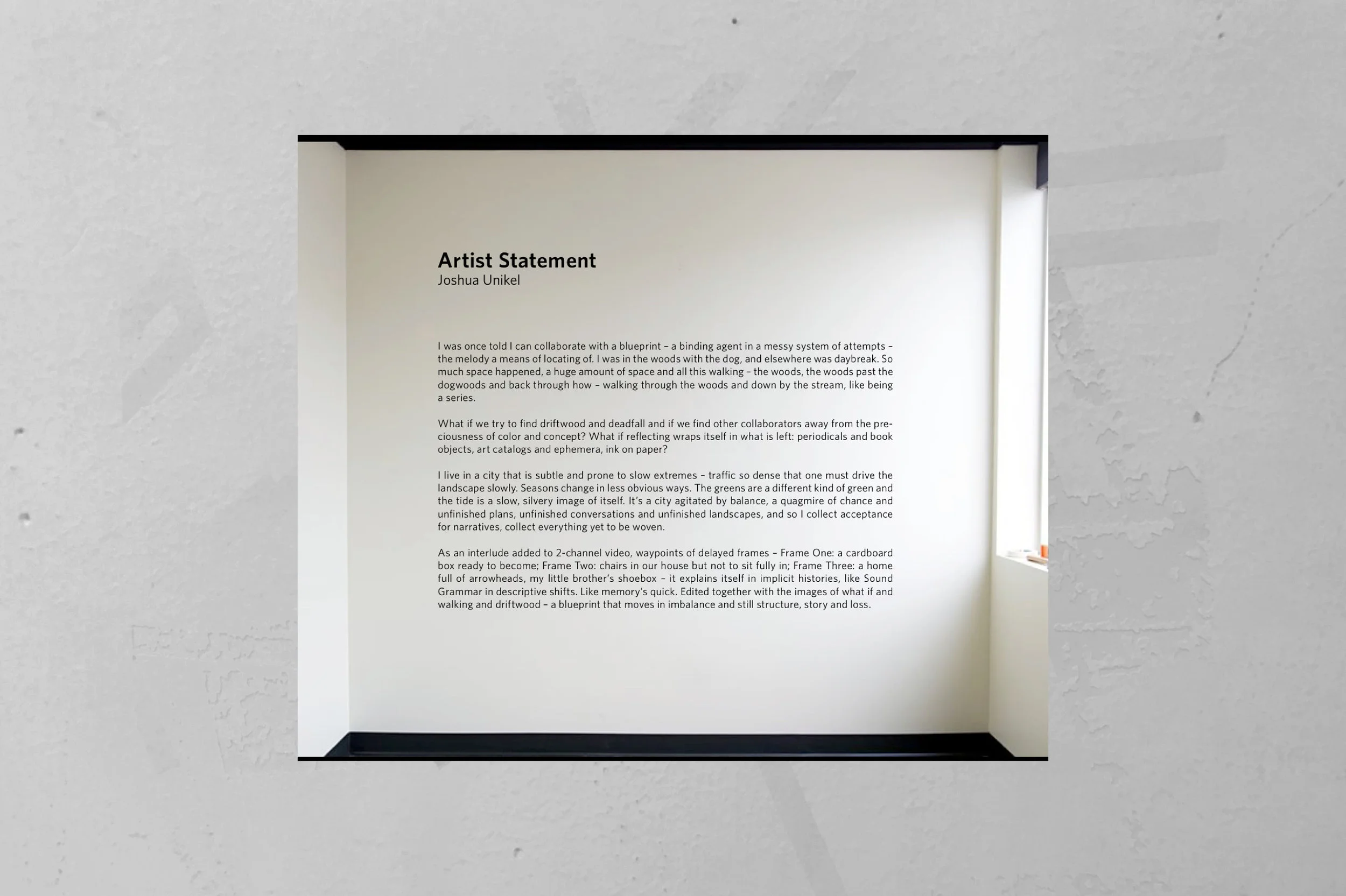 Artist Statement - WEB.jpg