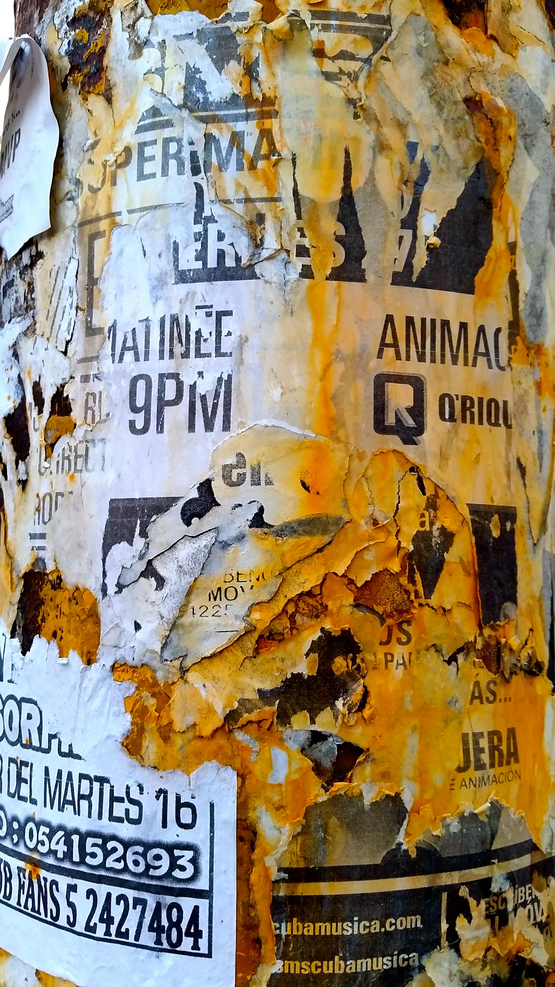 Telephone Pole