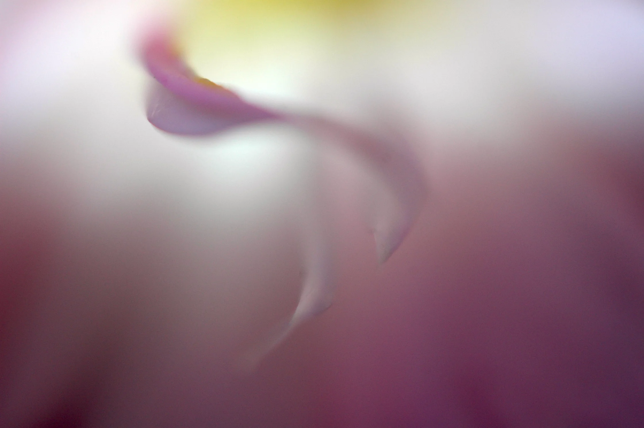 Whisper
