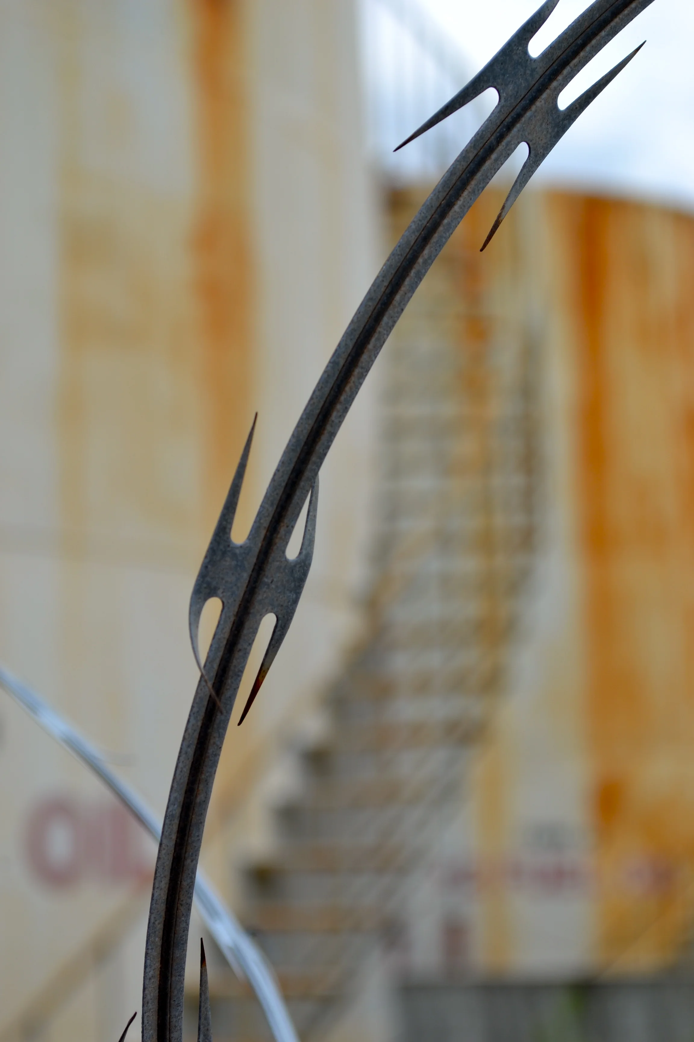 Barbed Wire