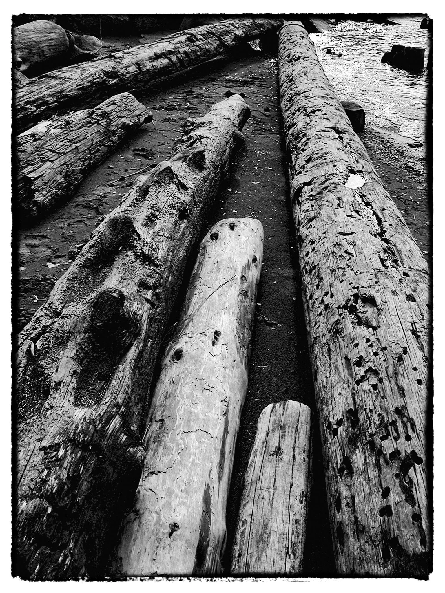 LOGS.jpg