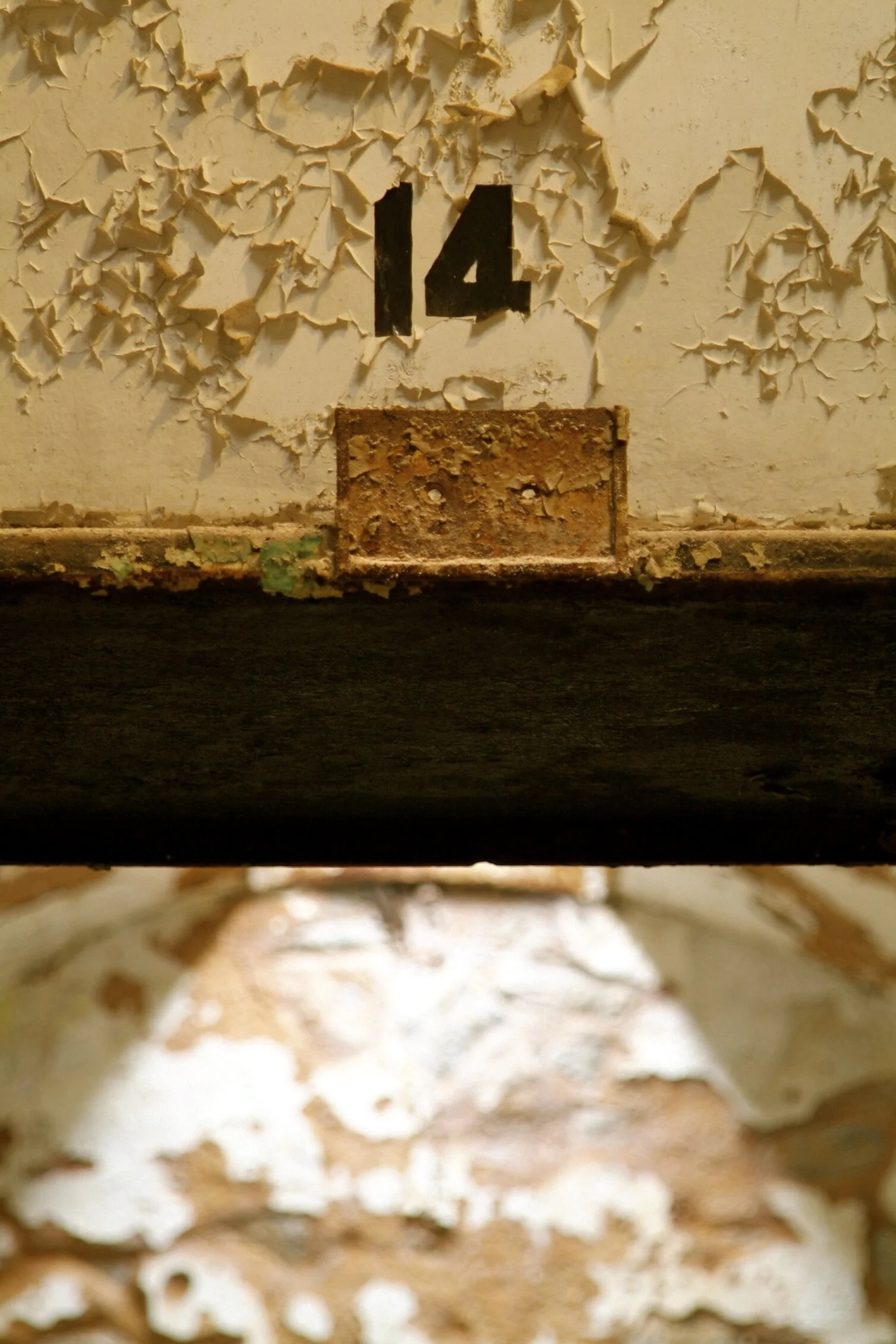 Cell #14