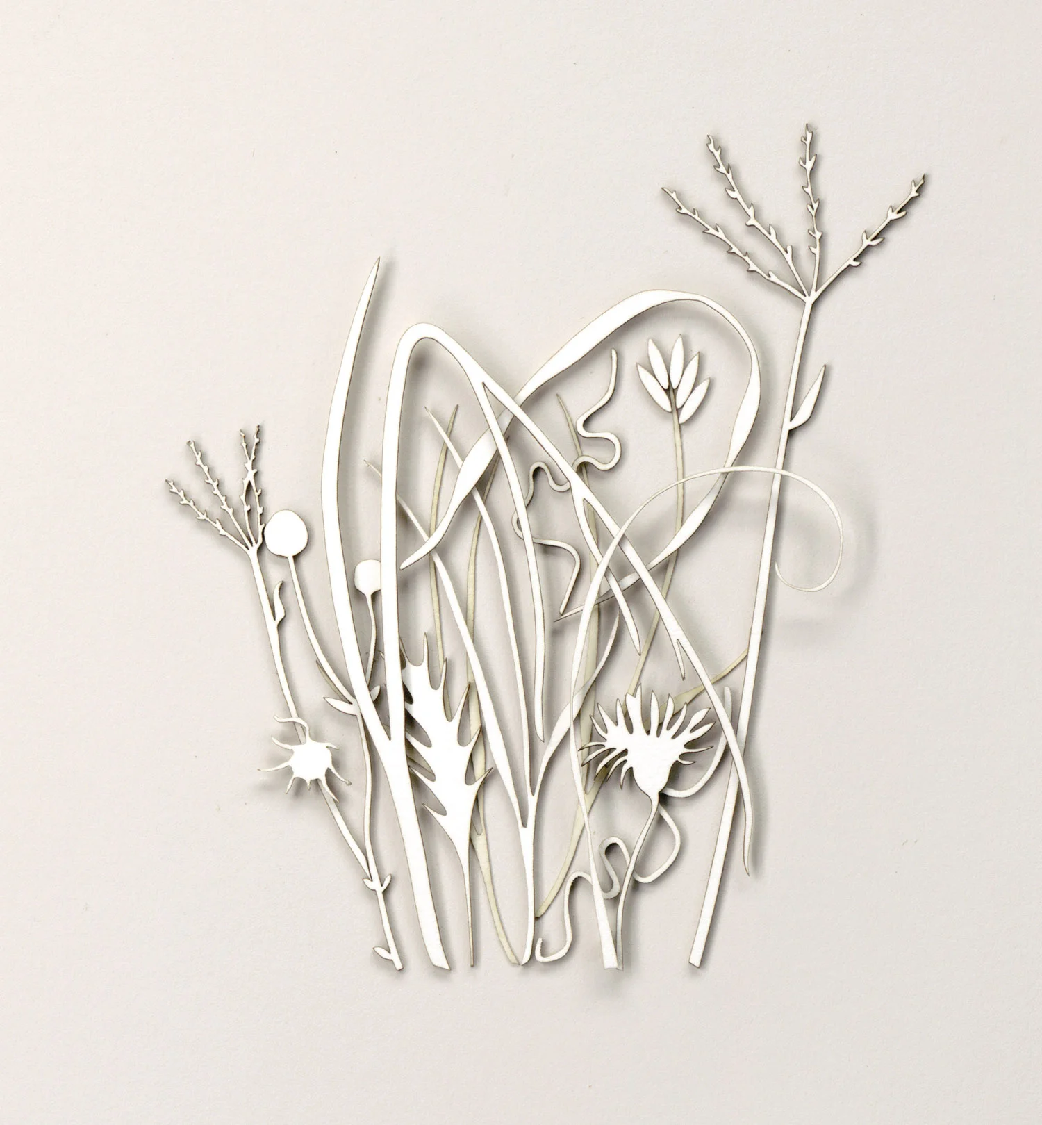 Prairie #2