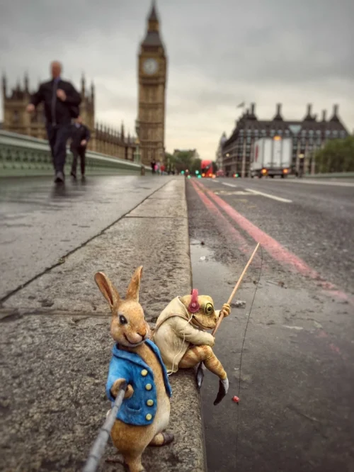 7a - Peter Rabbit Selfie - Jeremy Fisher.jpg