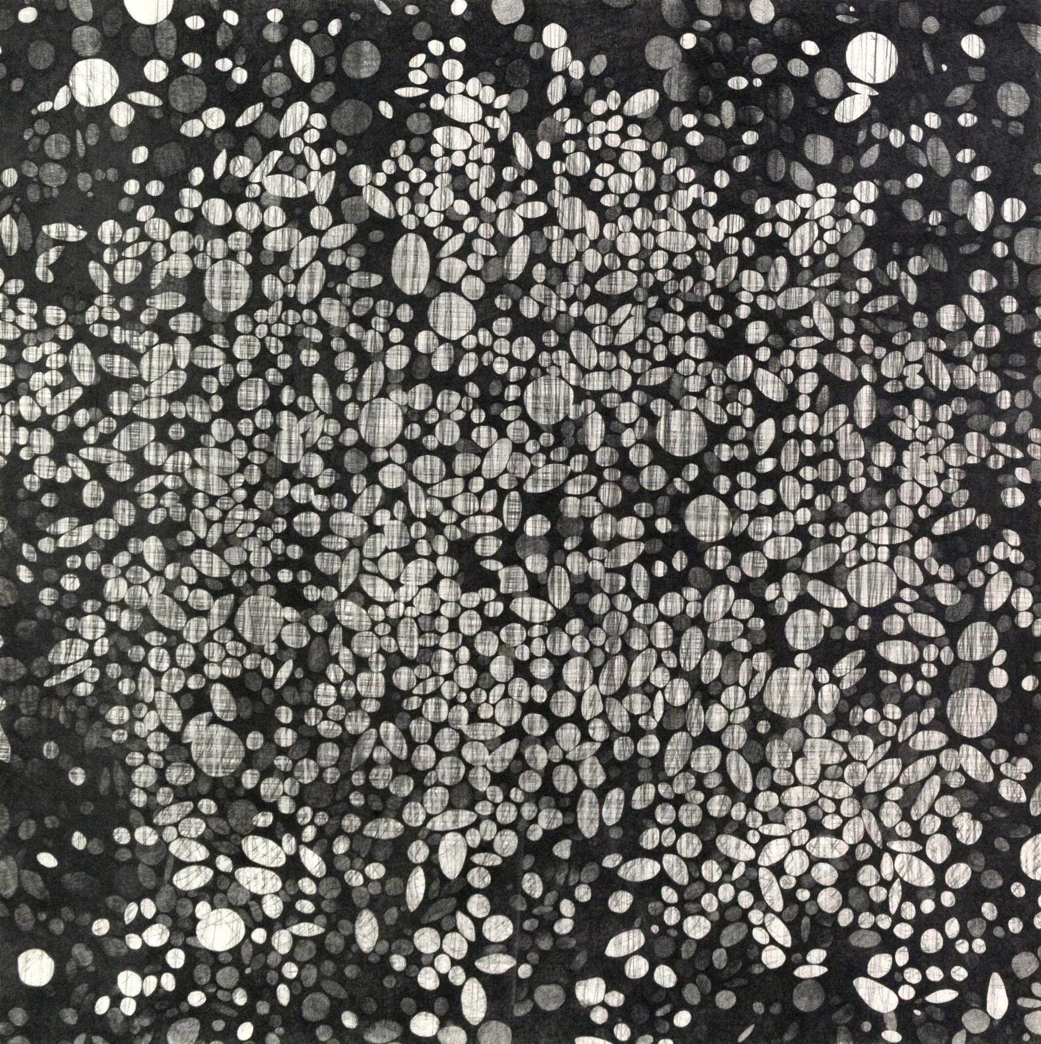 WooHoo's Food / 2013 / Graphite on Paper / 36" x 36"