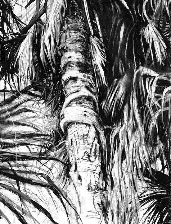 Sabal Palm with Strangler Fig | 2022 | 22 x 30 in.