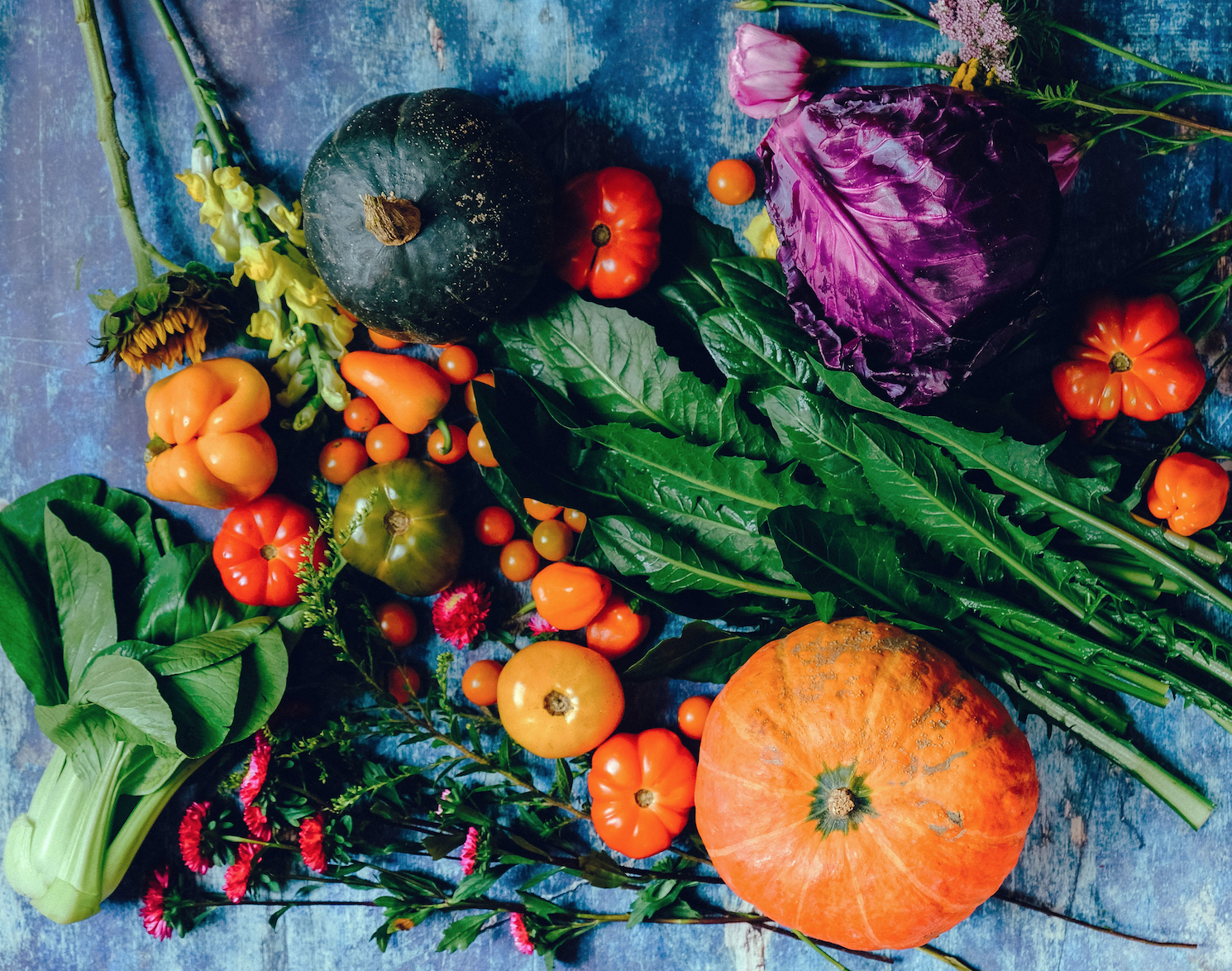 Carbohydrate profile of fruits and vegetables