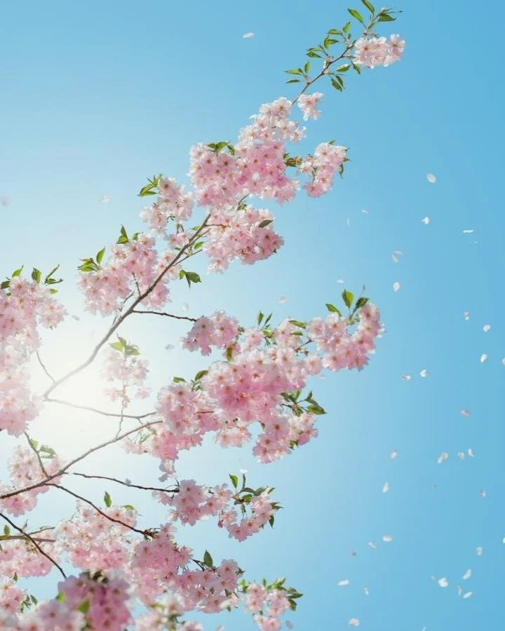 The importance of Vitamin D