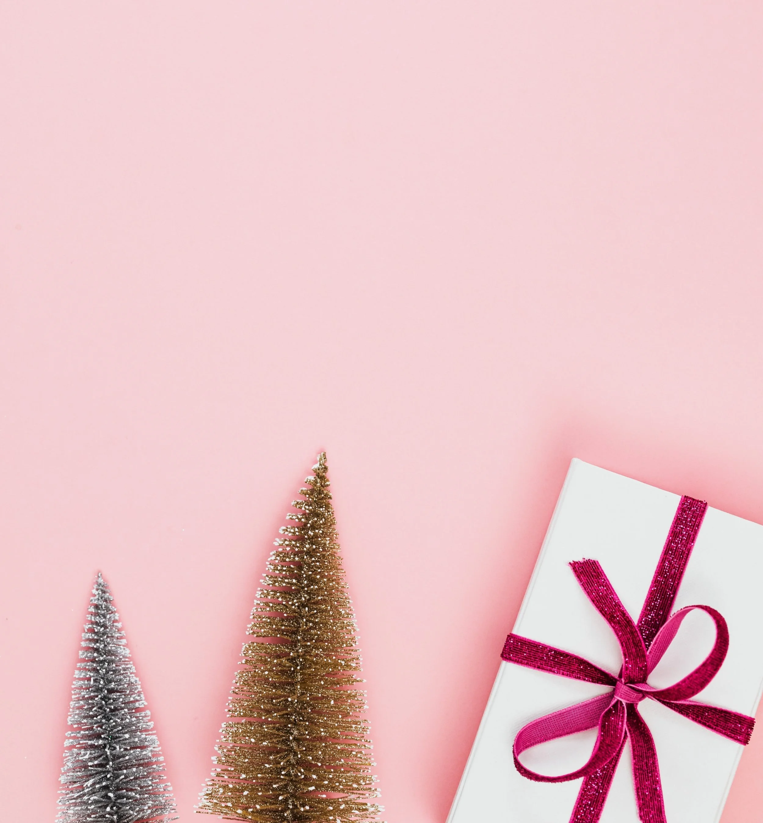 12 Days of Christmas Charities