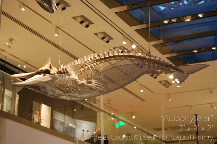 Randy Cooper Aspen Art Gallery