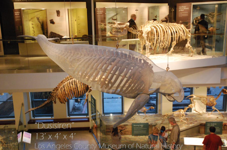 Randy Cooper Aspen Art Gallery