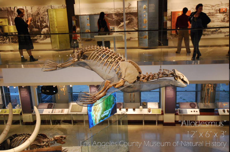 Randy cooper Aspen Art Gallery