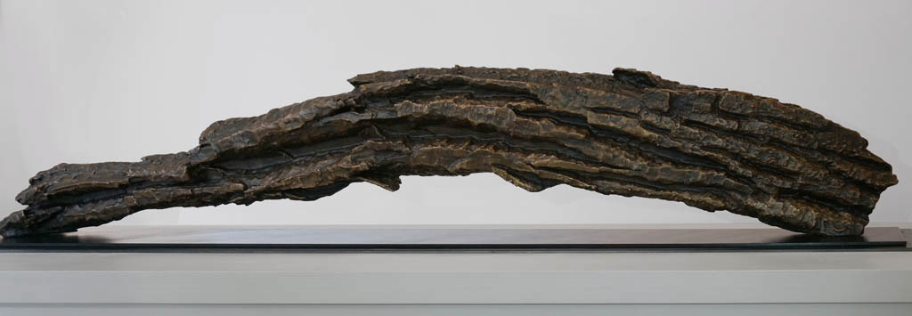 Christopher Owen Nelson Aspen art Gallery