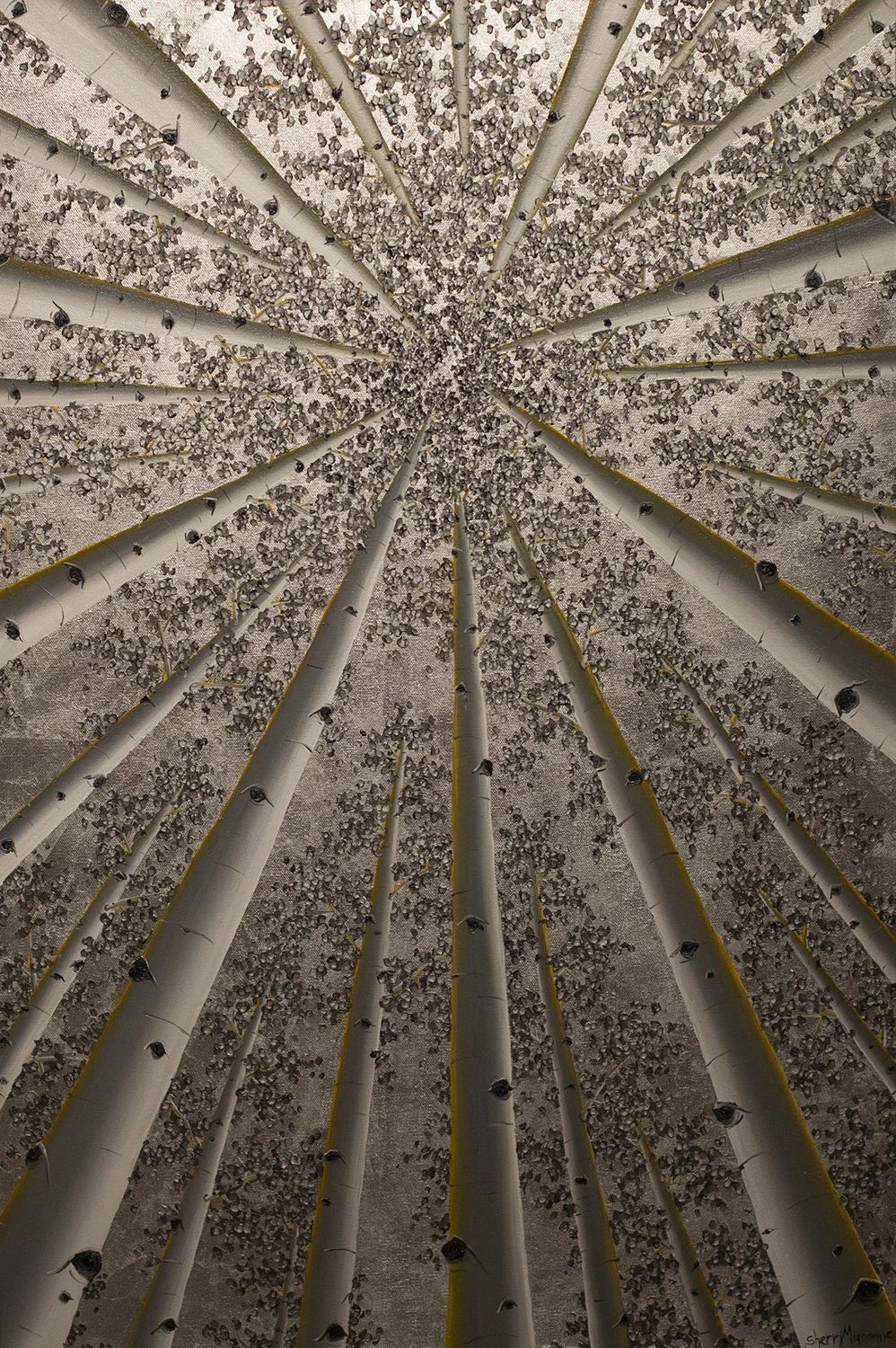 36x24