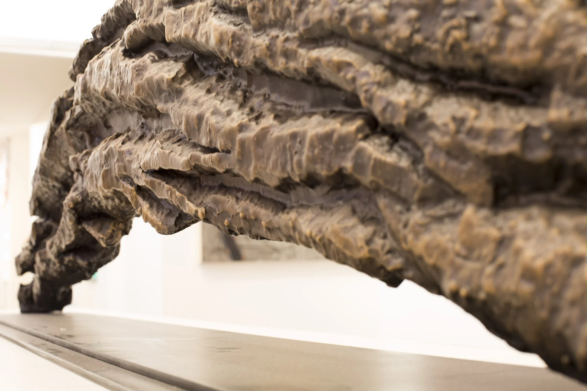 Christopher Owen Nelson Aspen art Gallery