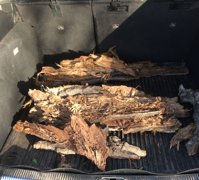 Christopher Owen Nelson Aspen art Gallery