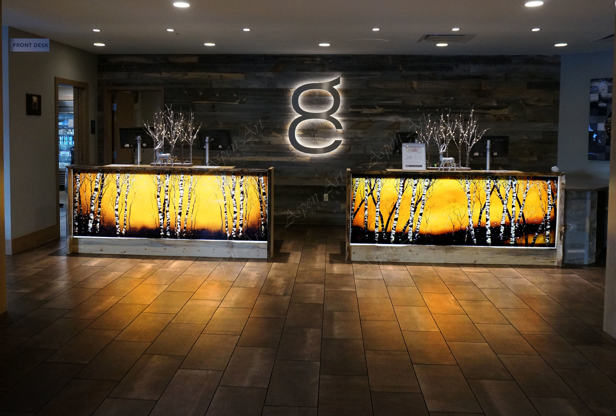 Christopher Owen Nelson Aspen Art Gallery