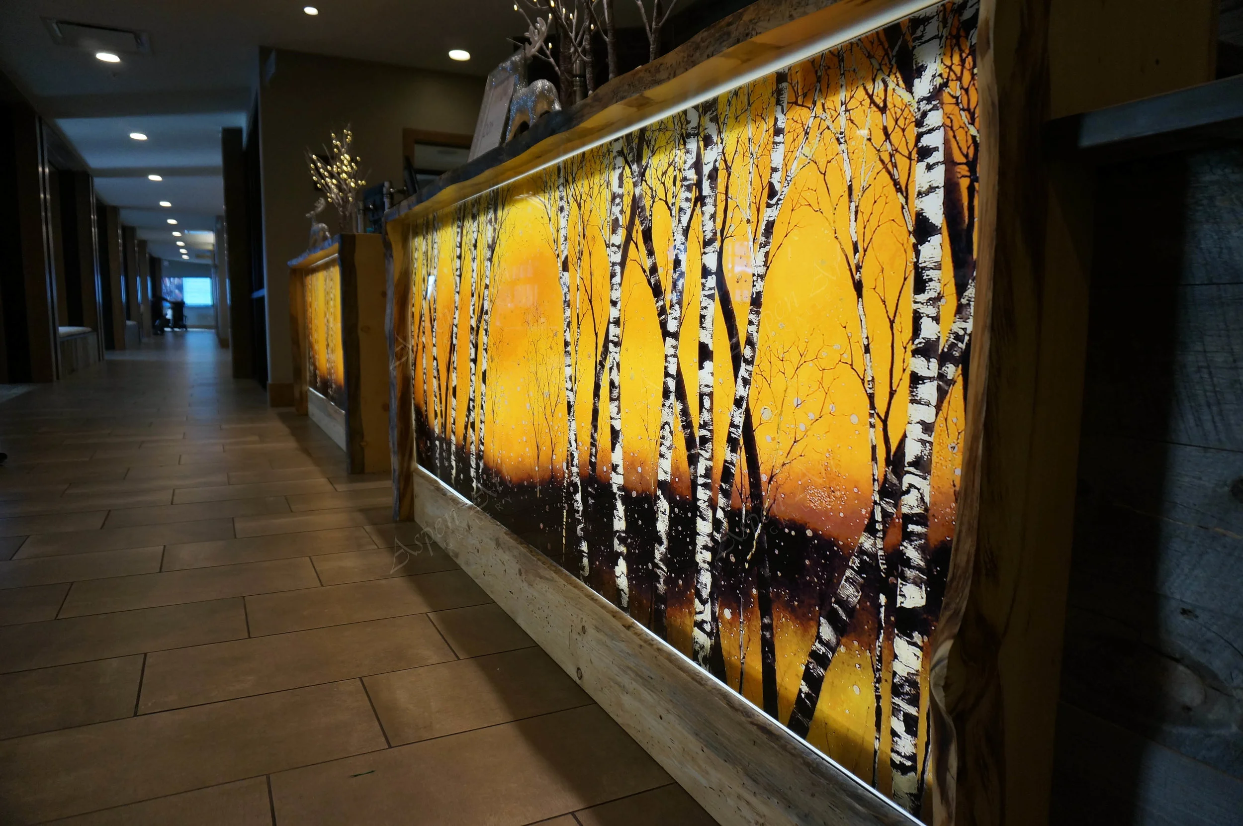 CHRISTOPHER OWEN NELSON ASPEN RT GALLERY