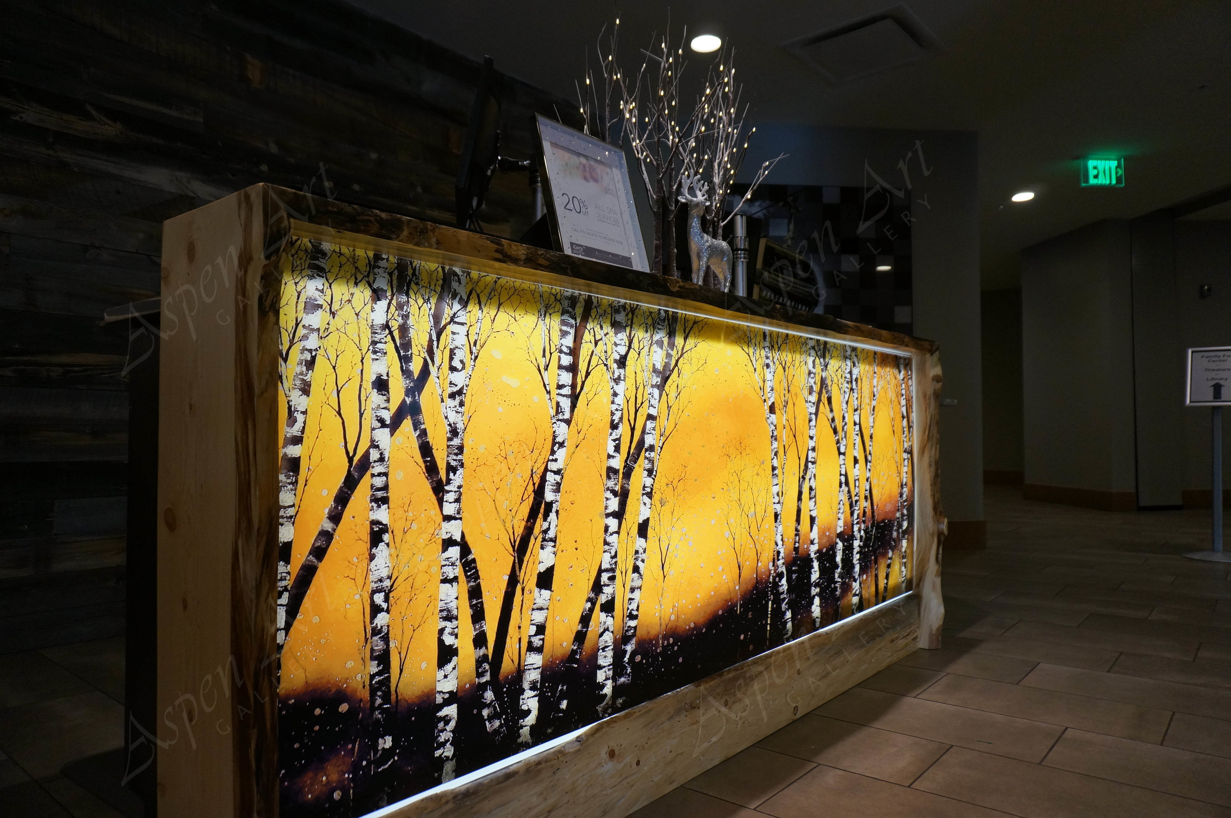 CHRISTOPHER OWEN NELSON ASPEN ART GALLERY