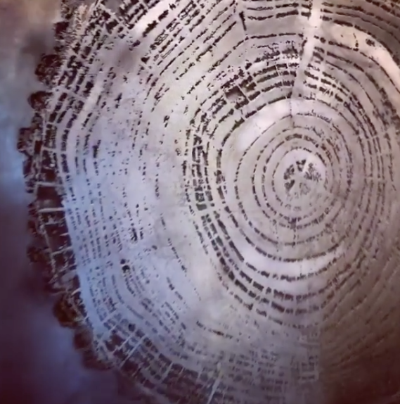 Christopher Owen Nelson Aspen Art Gallery