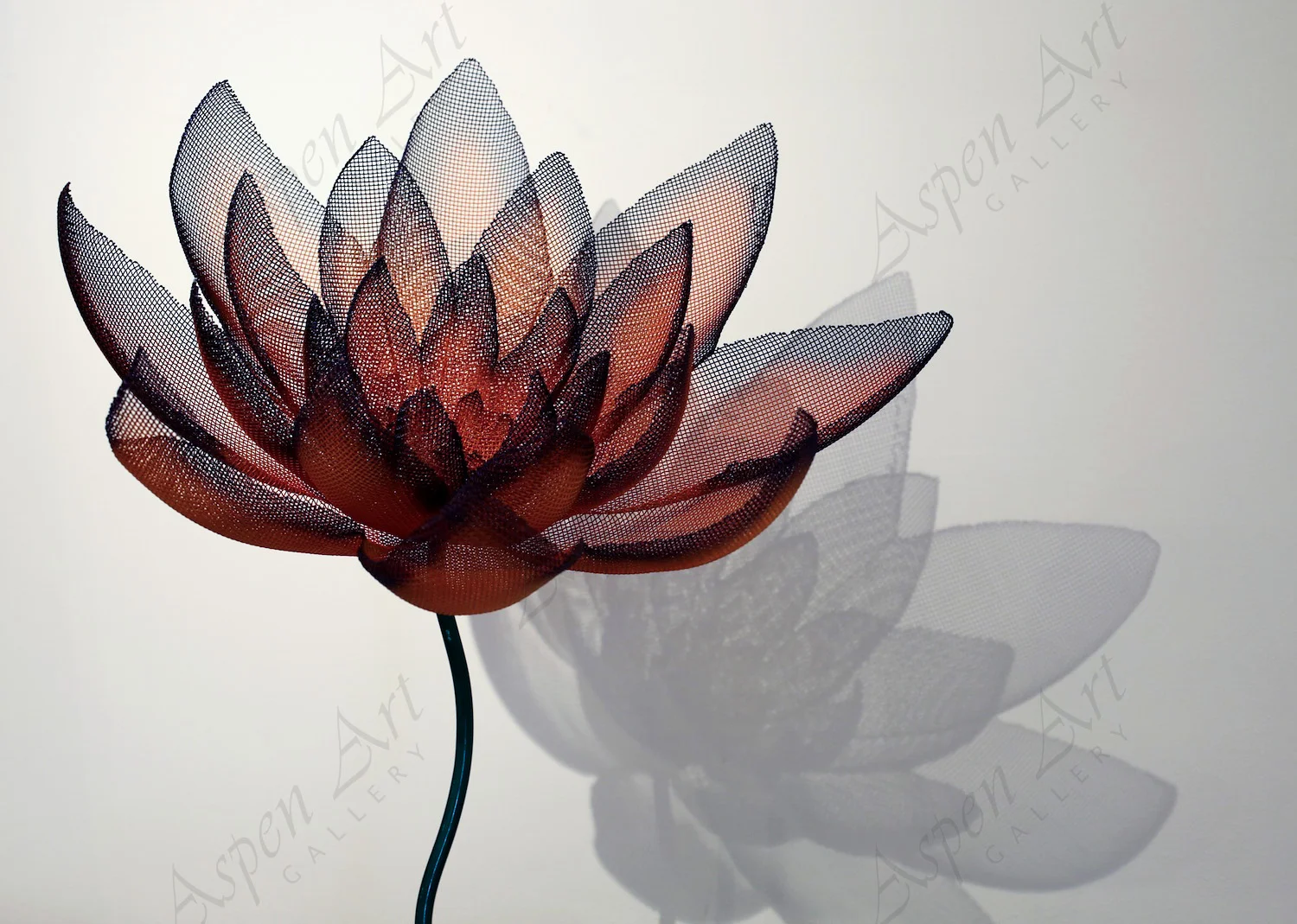 Work created by Carol and Randy Cooper