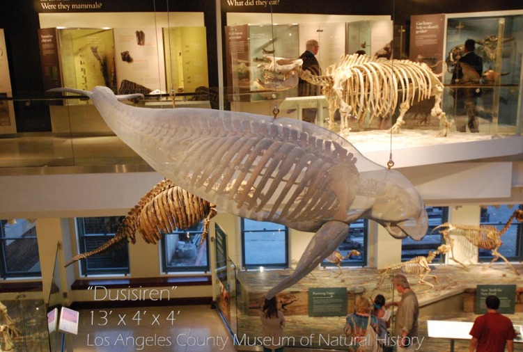 Randy Cooper Aspen Art Gallery