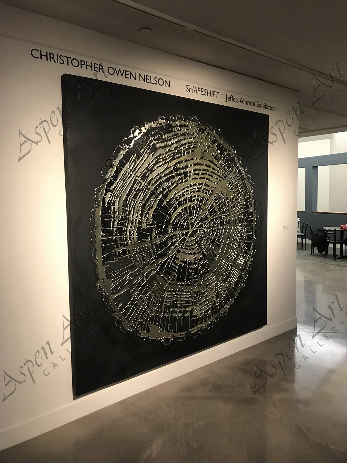 christopher owen nelson aspen art gallery