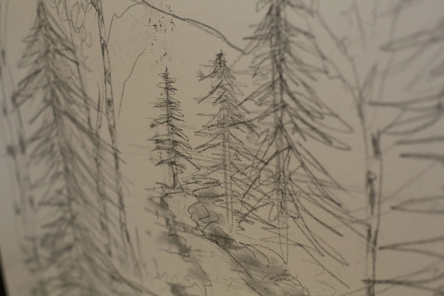 P76A0140.jpg
