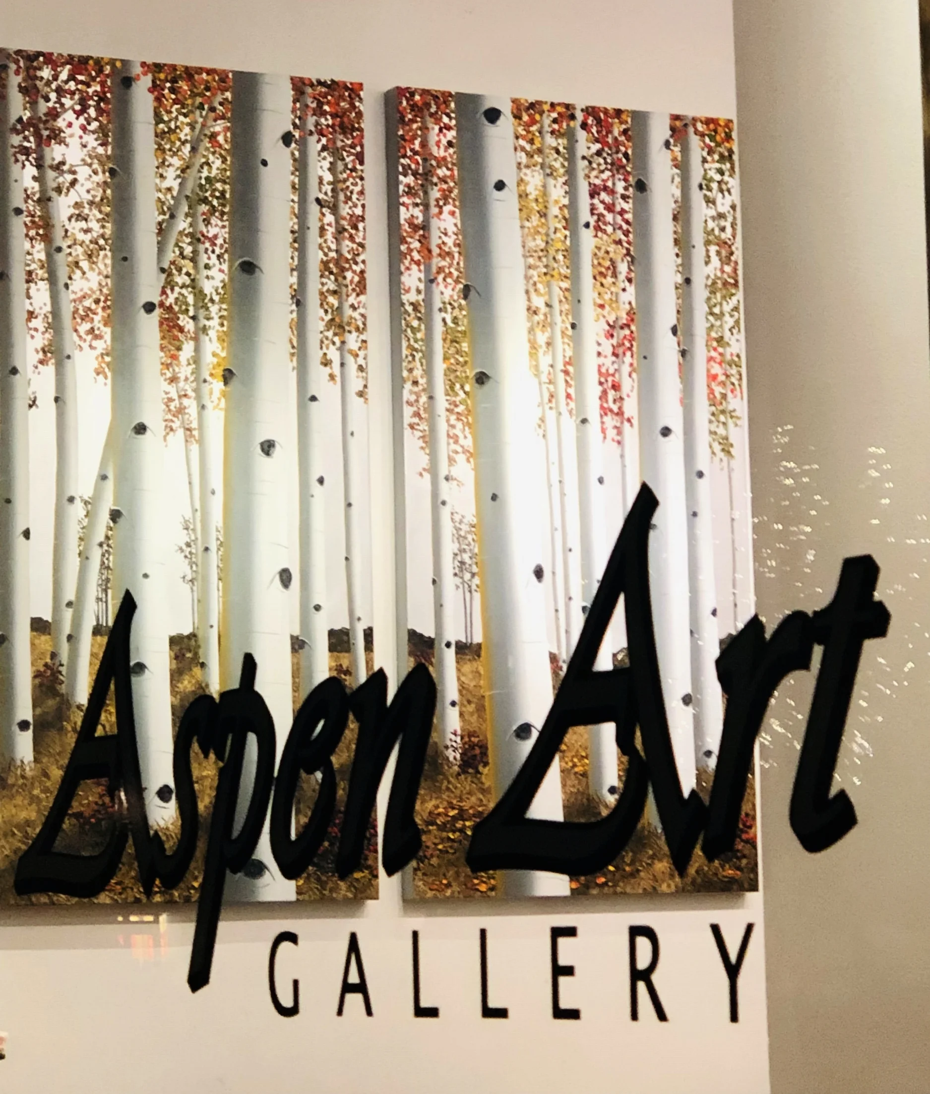 Sherri aspen woods through window .jpg