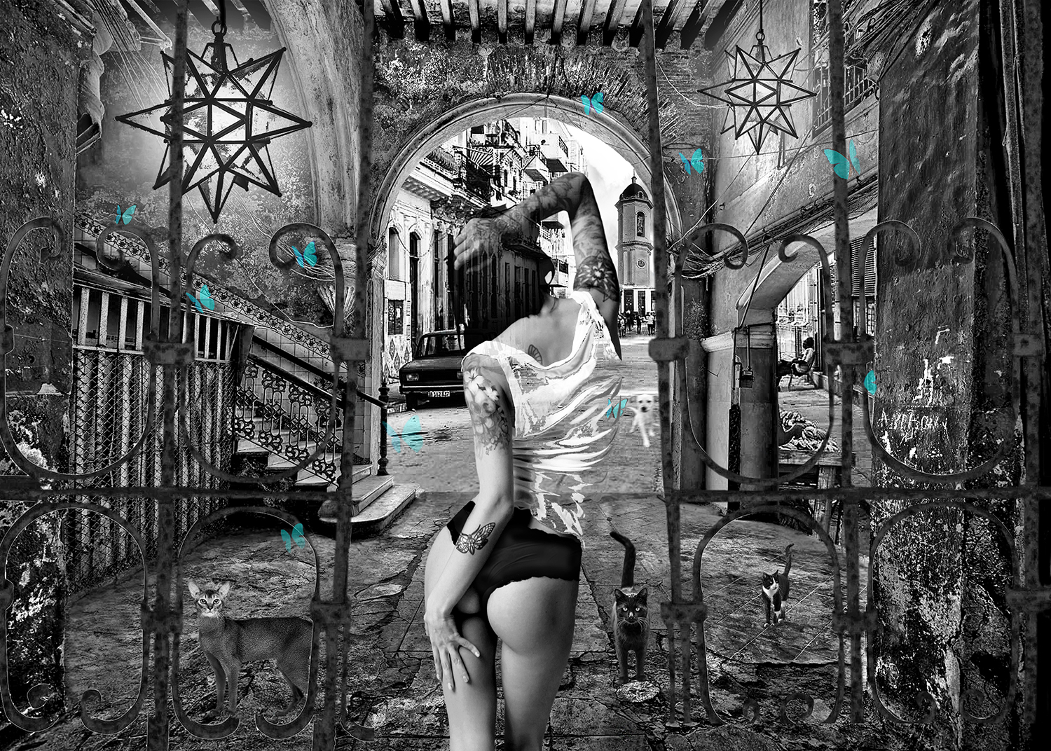 “CUBA NESS 2” 40x29” still shot