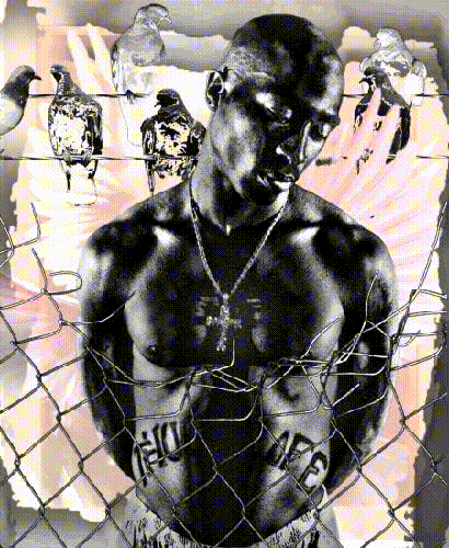 "Tupac Pink"