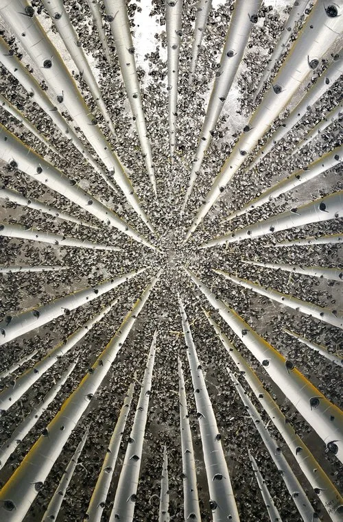 “Crystal Point” 36x24”