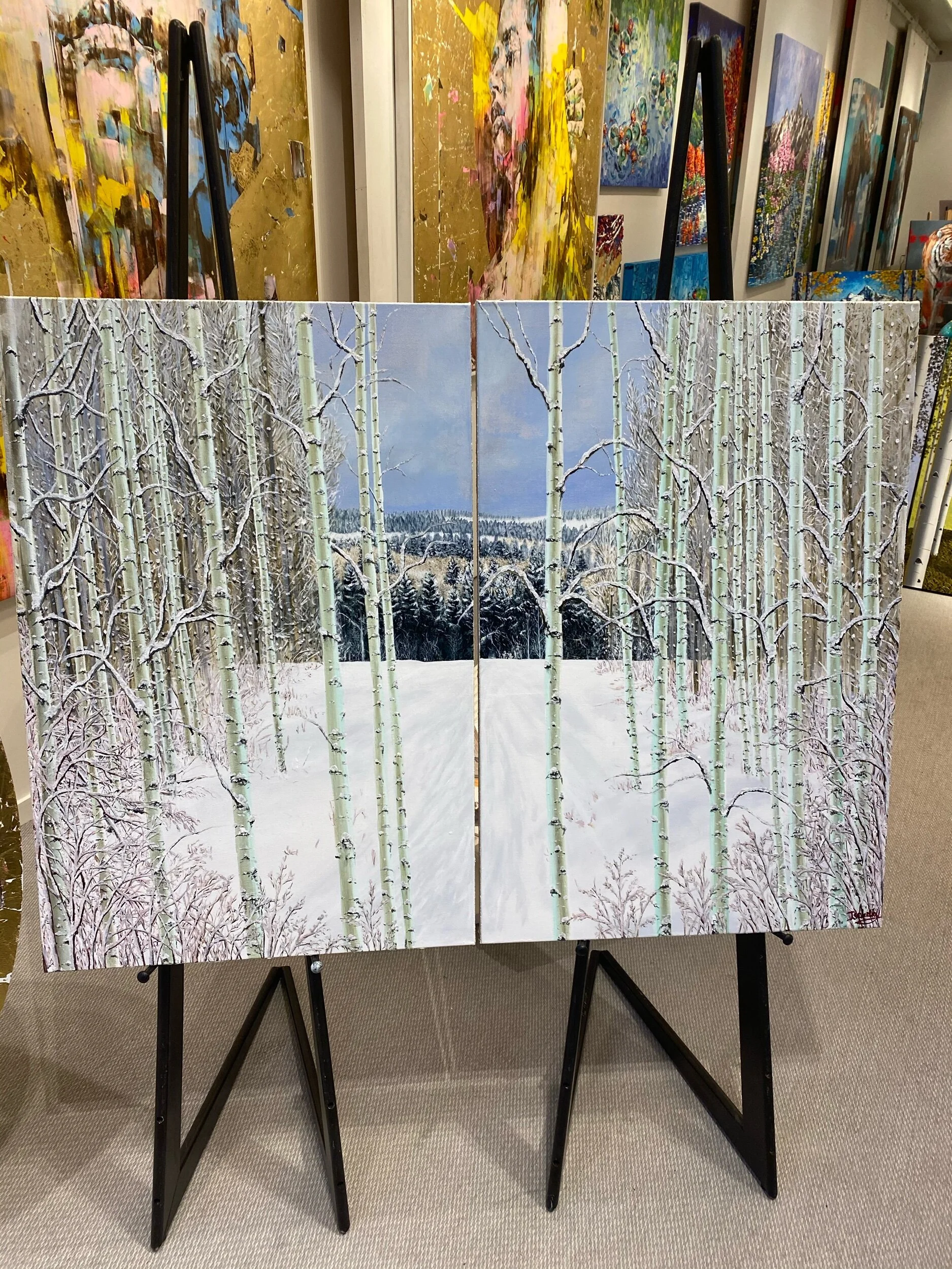 Looking out of an Aspen Grove