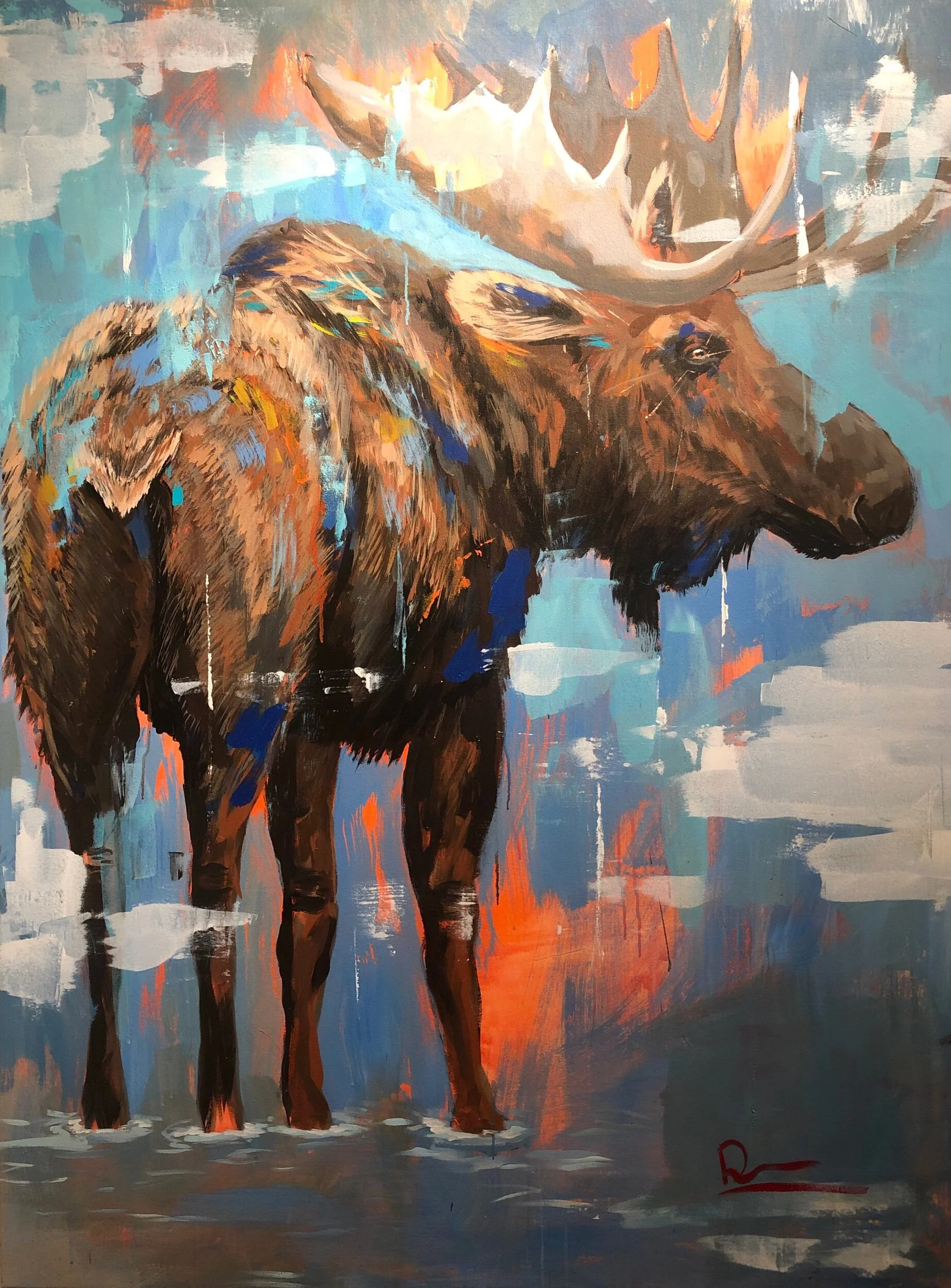 MOOSE 66x50