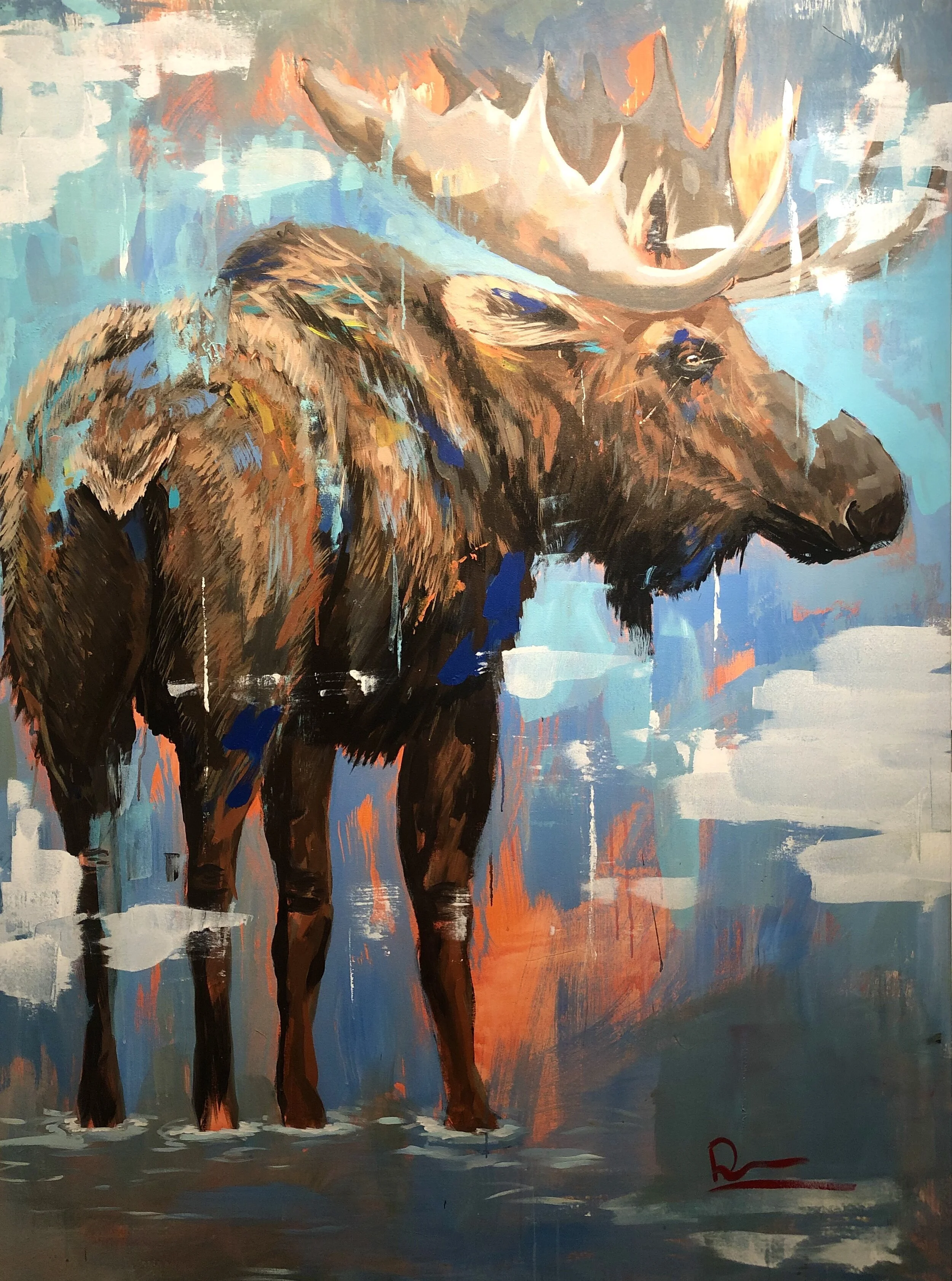 Moose 66x50