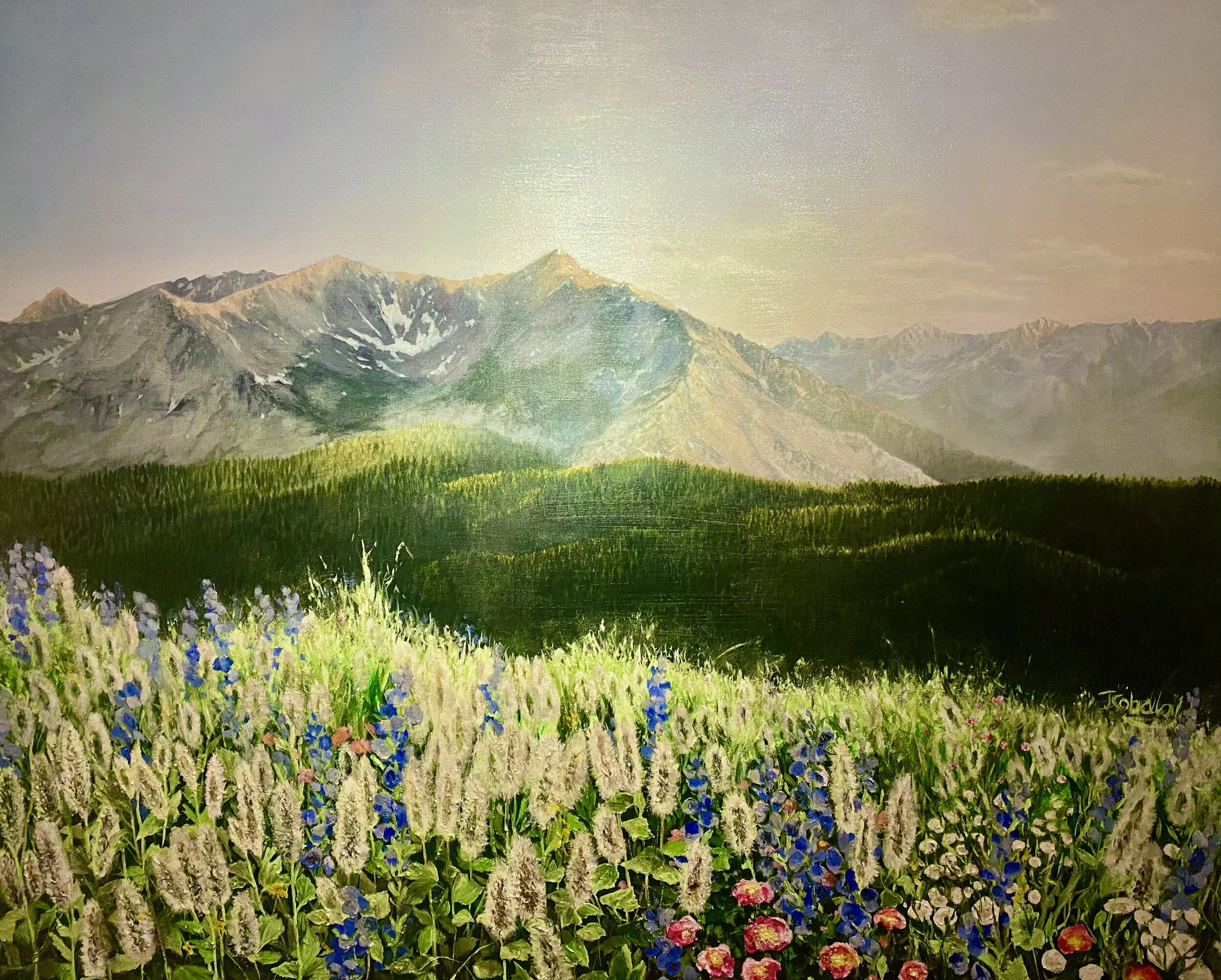 “Hazy Ajax” 48x60