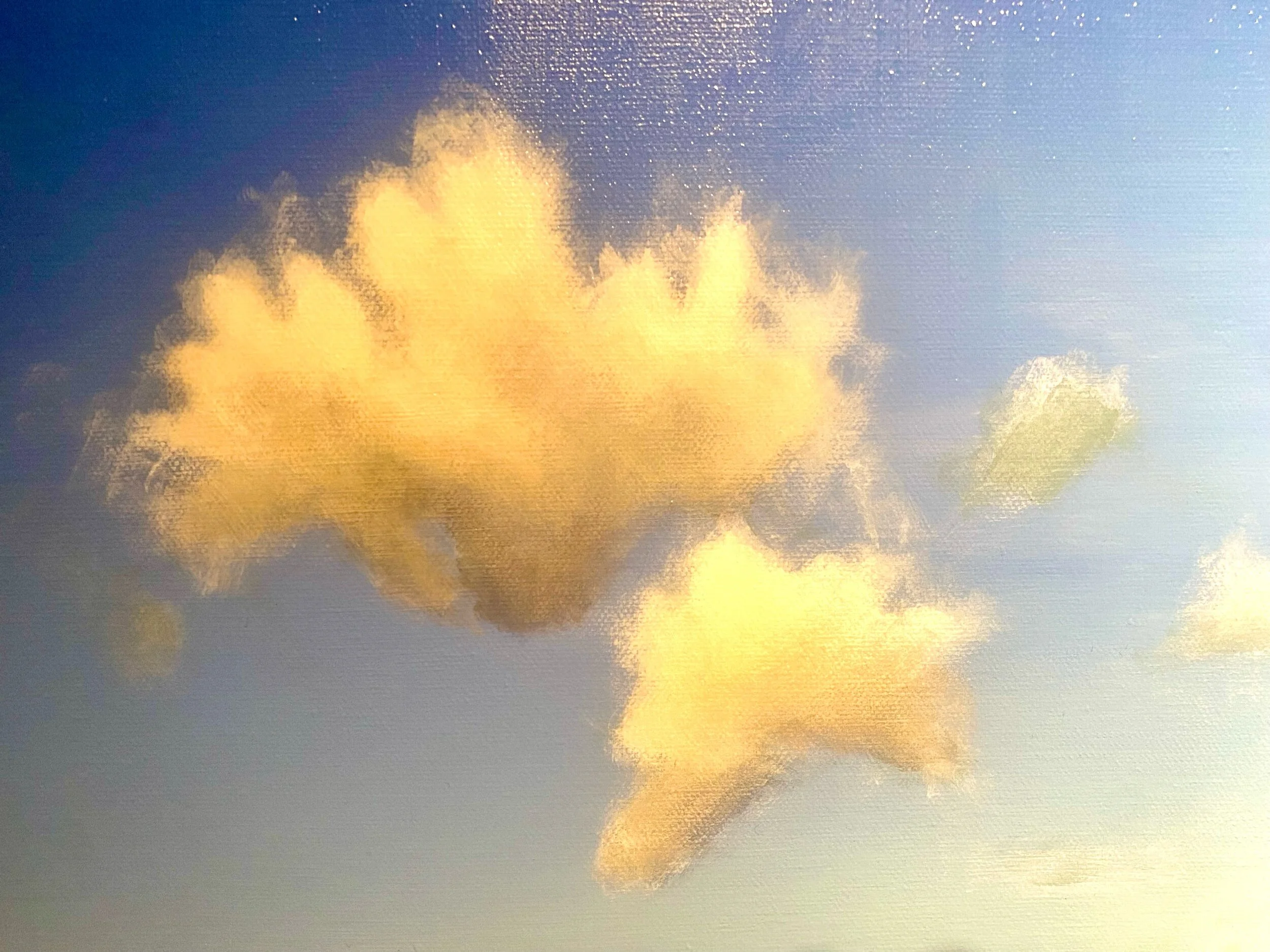 The last yellow foliage.