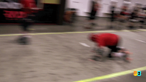 giphy.gif