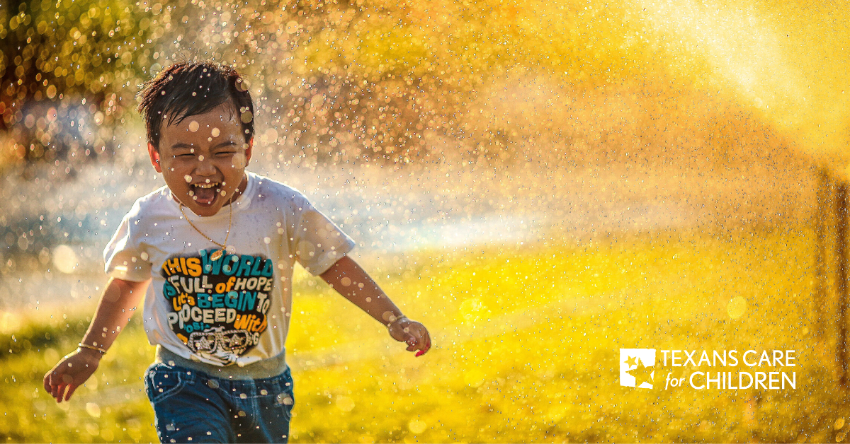 Early Childhood Profile and Availability of “Brain-Building” Services in Three Texas Regions